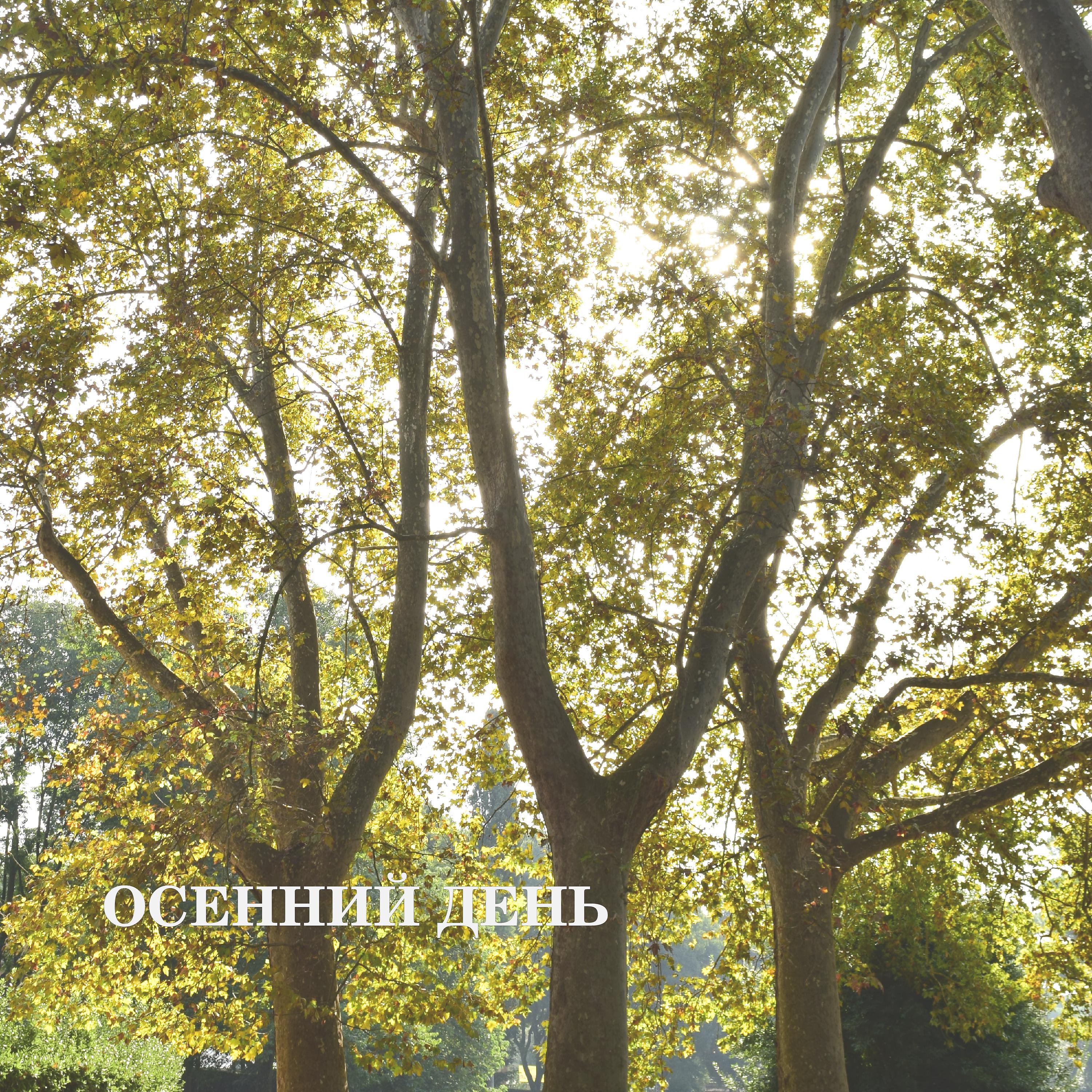 Постер альбома Осенний день