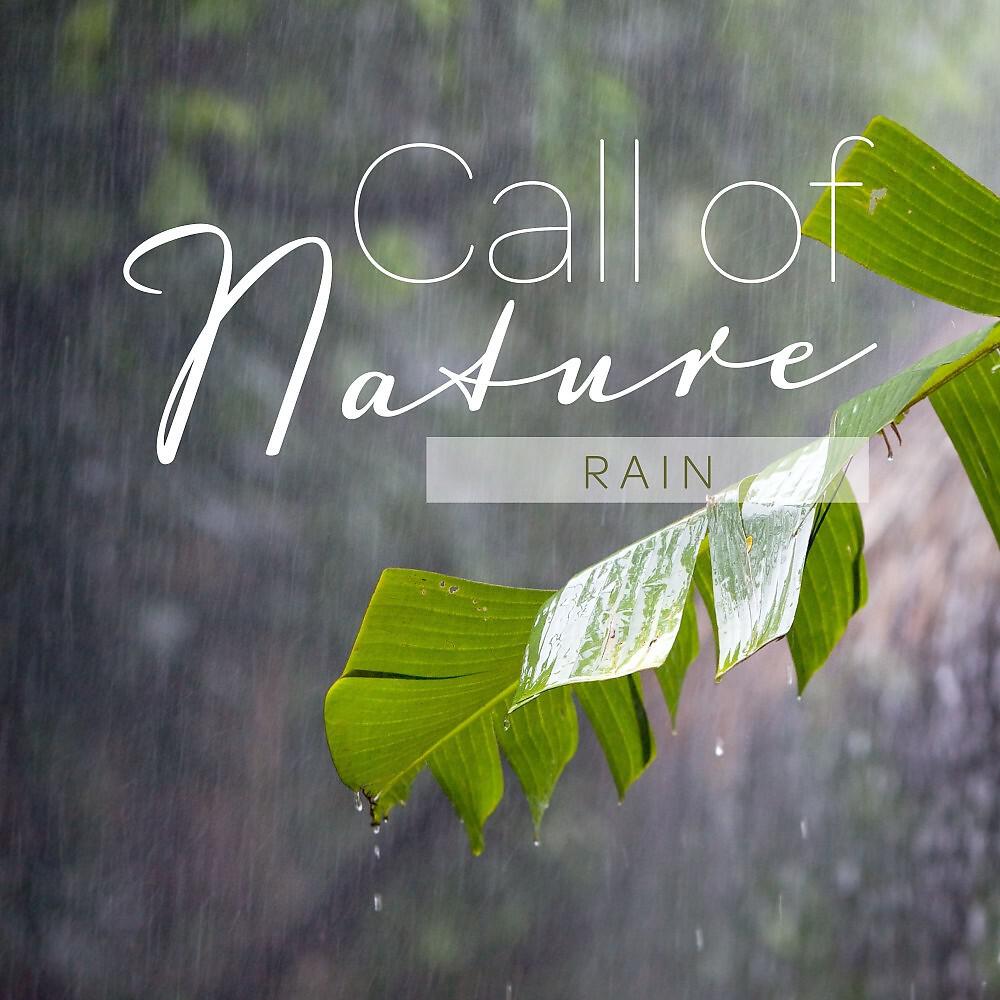 Mark Wayne - Call of Nature_Rain, Pt. 20