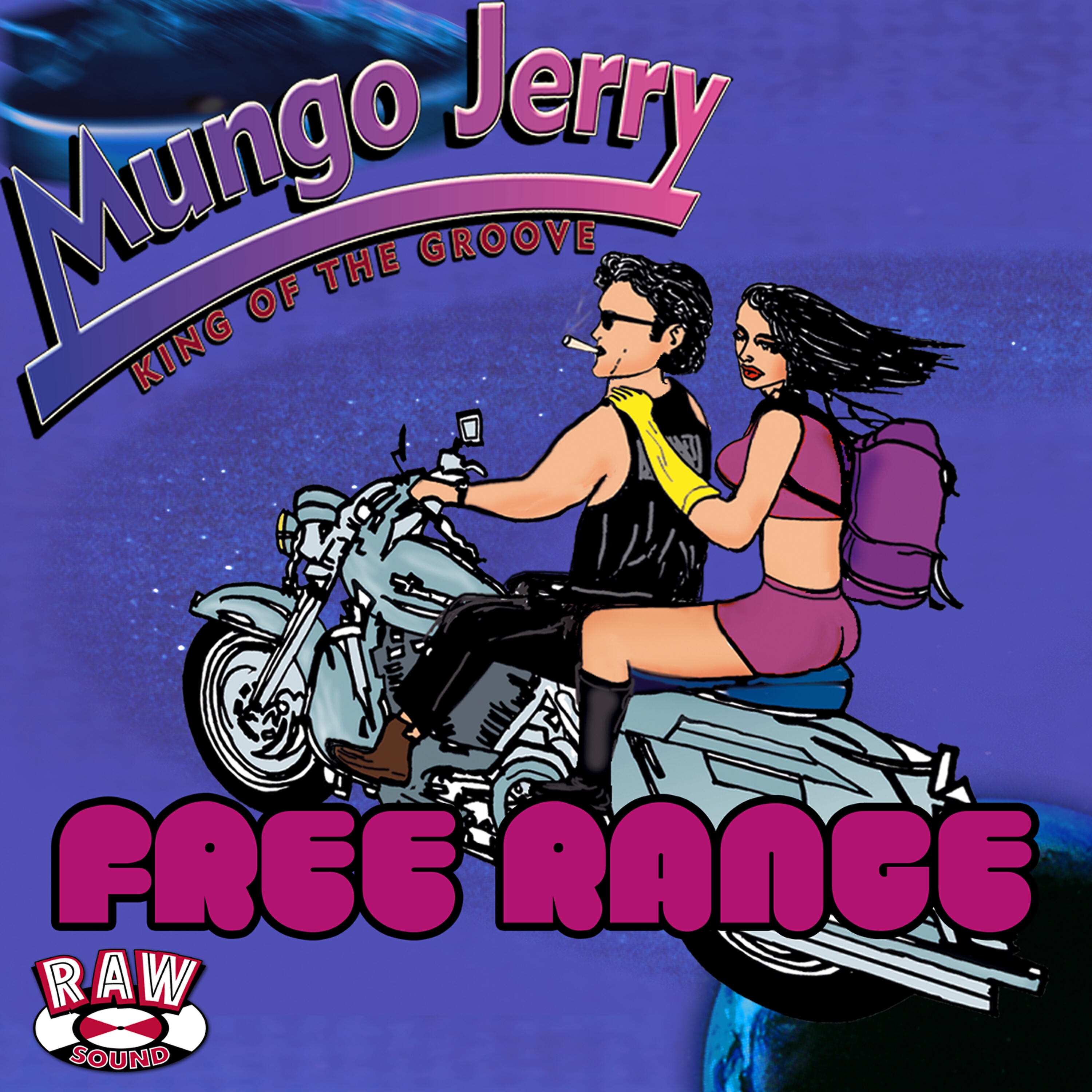 MUNGO JERRY - Hippy High Hi