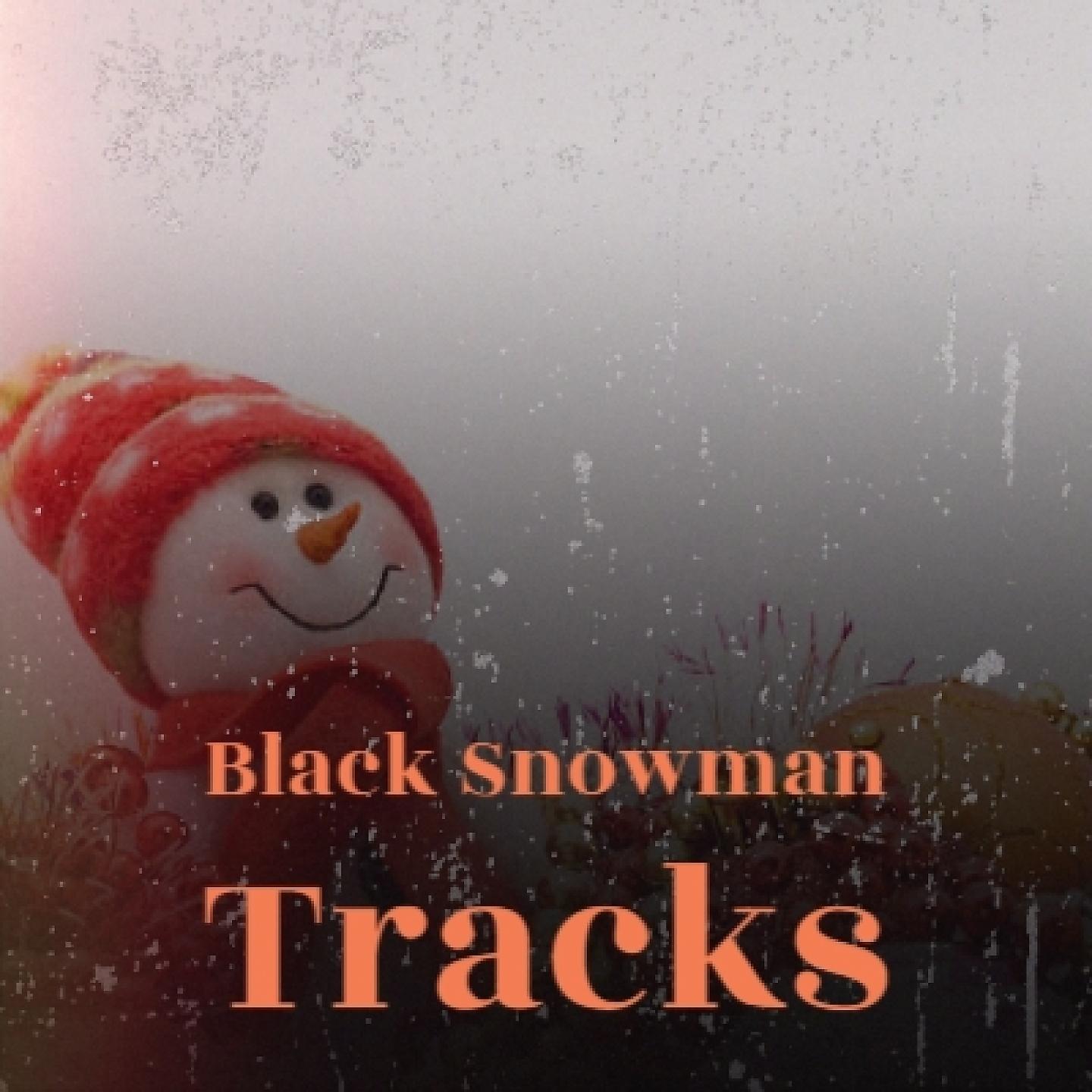 Постер альбома Black Snowman Tracks
