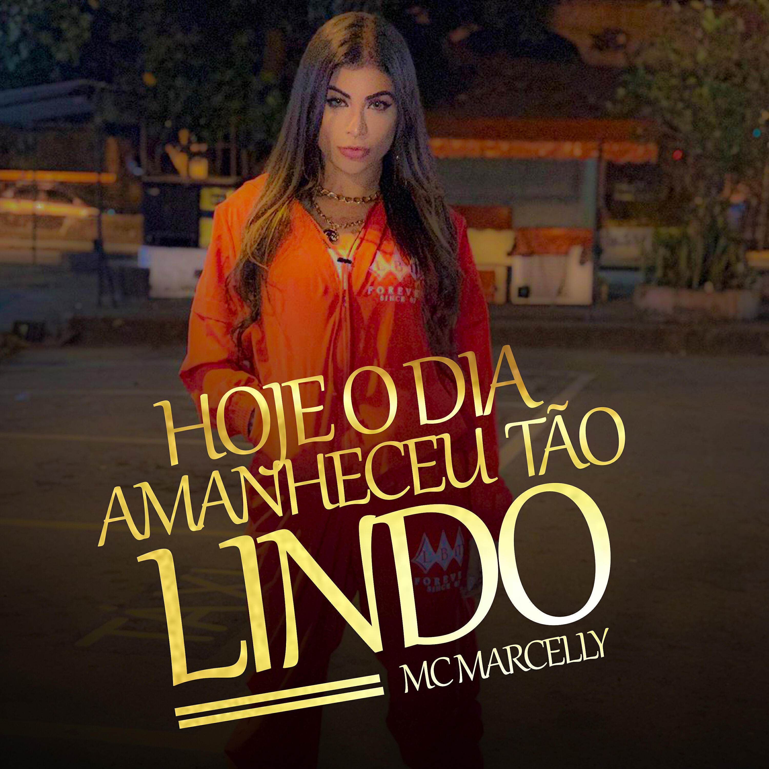 MC Marcelly - Hoje o Dia Amanheceu Tão Lindo