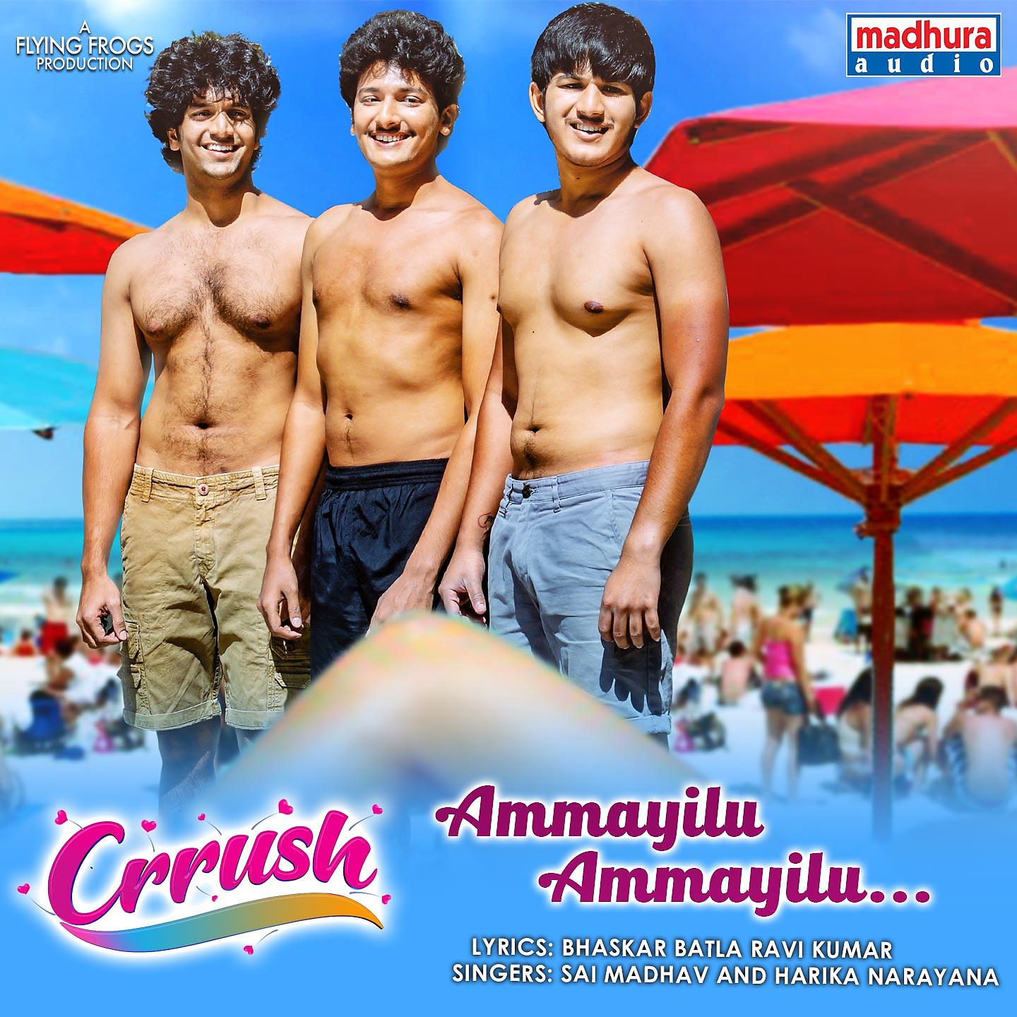 Постер альбома Ammayilu Ammayilu