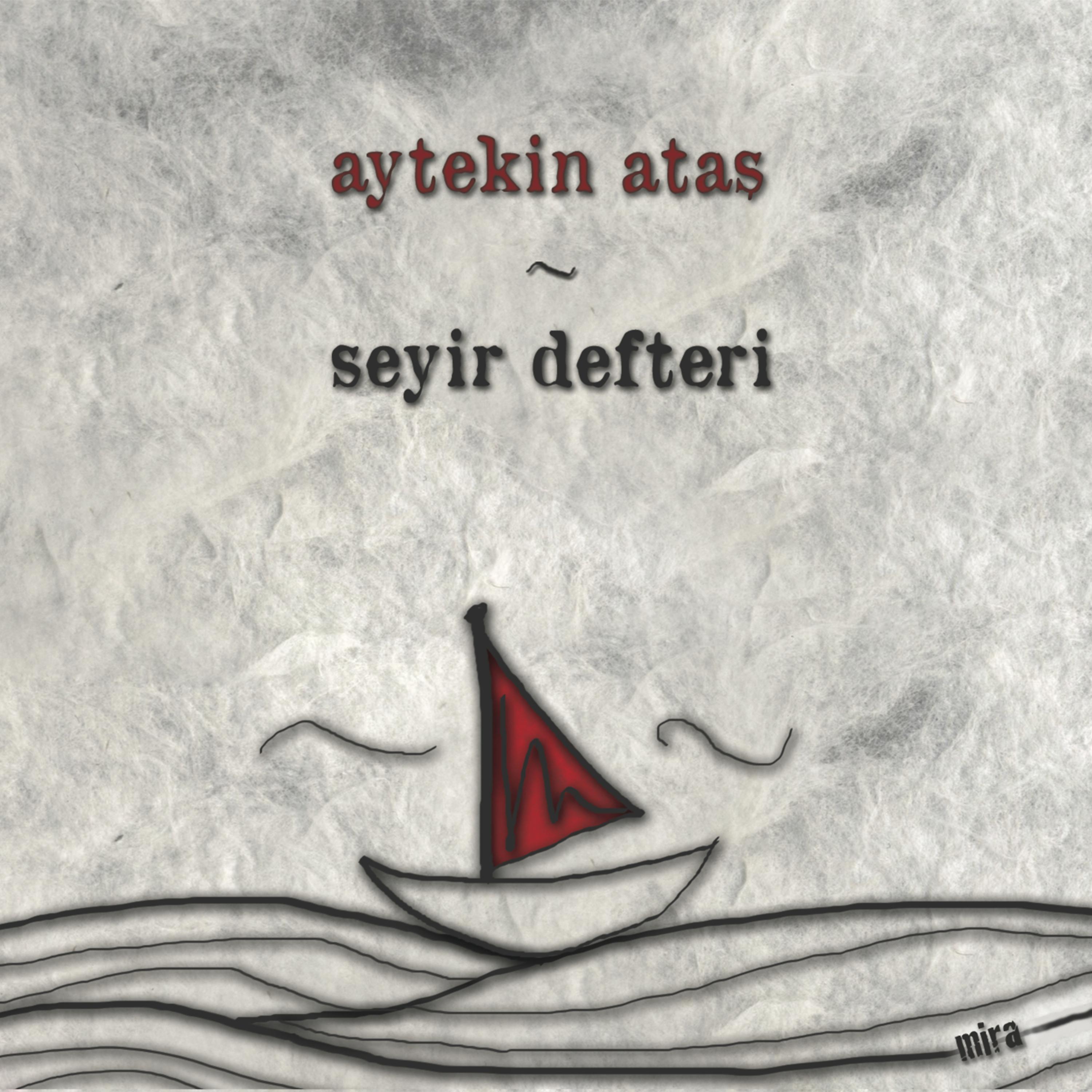 Постер альбома Seyir Defteri