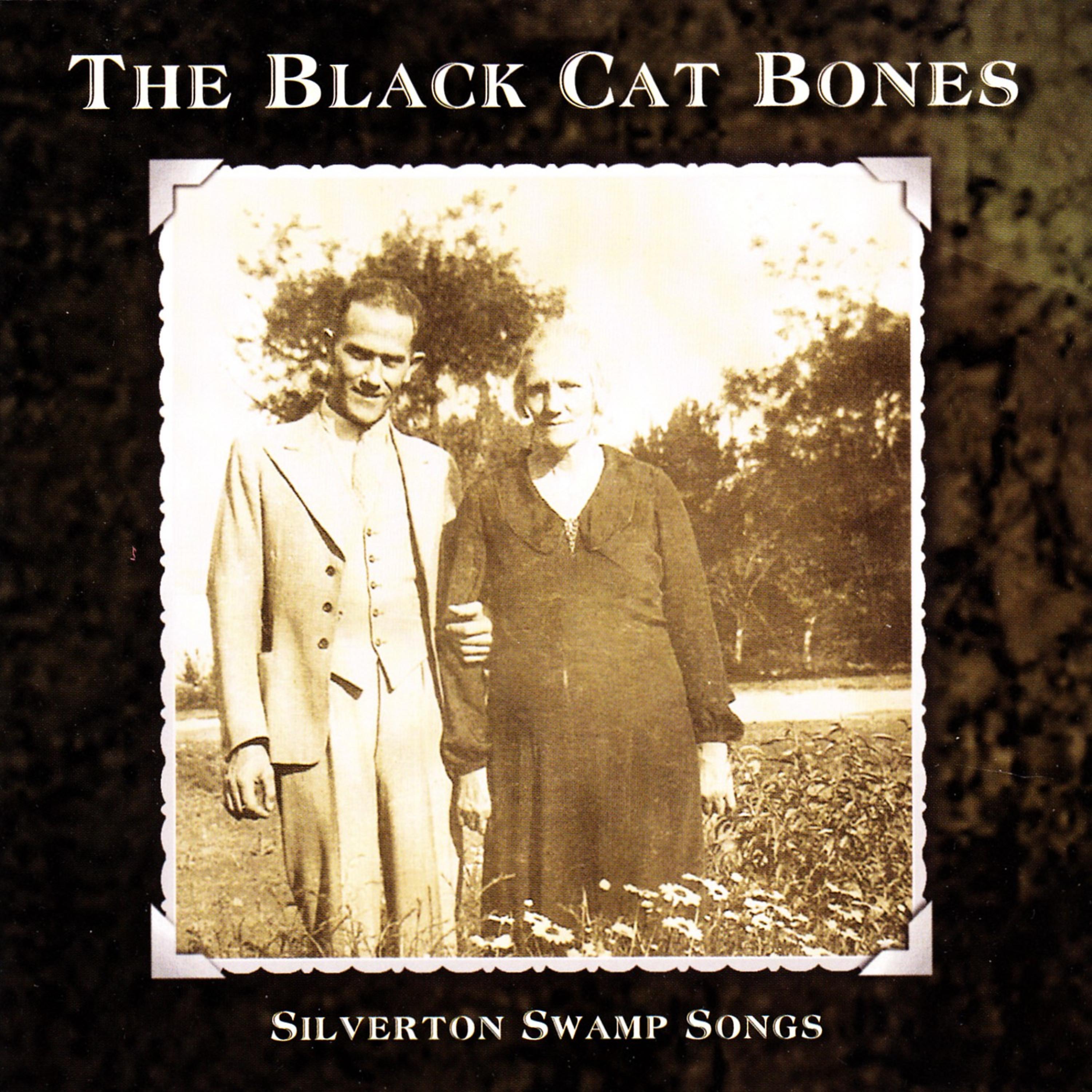 Постер альбома Silverton Swamp Songs