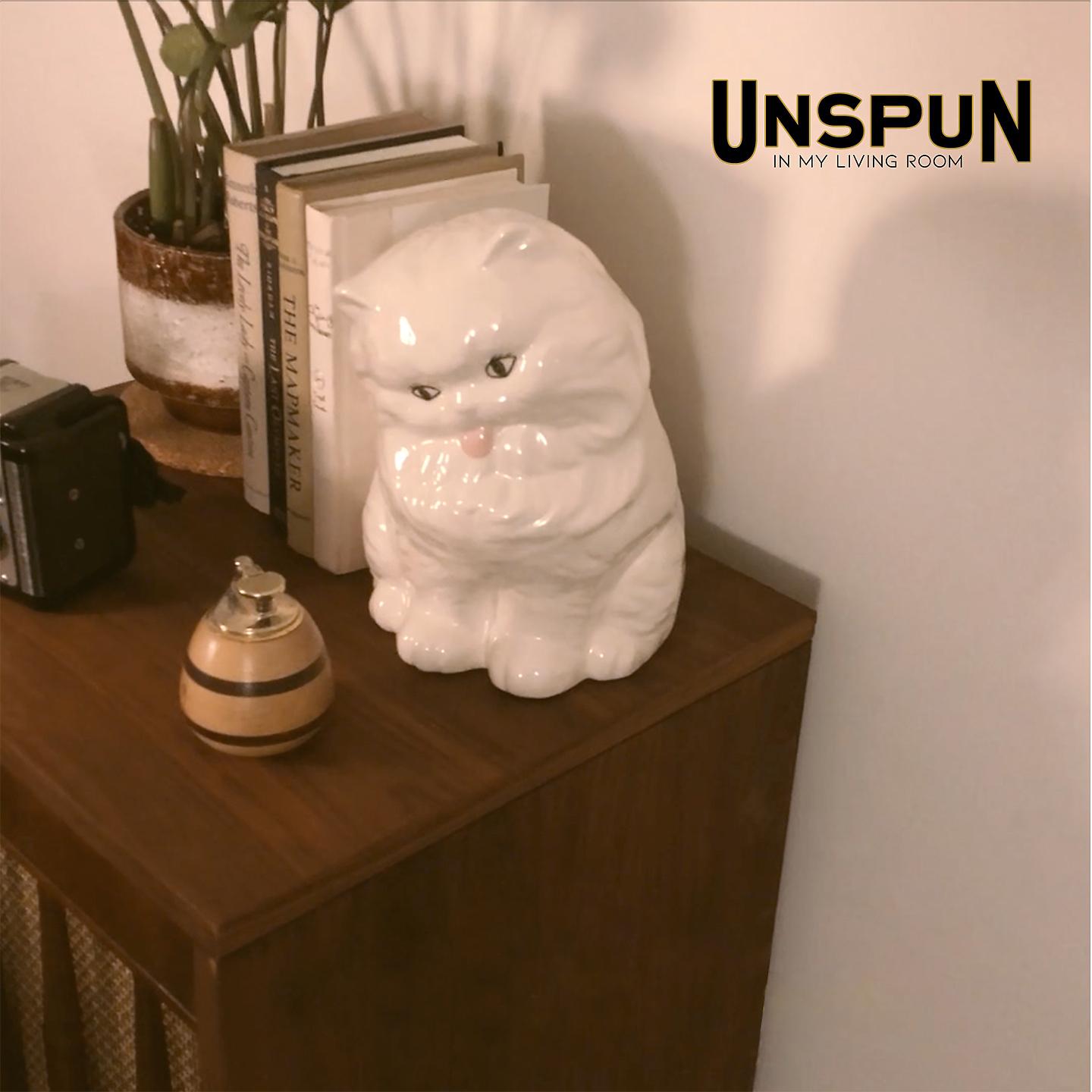 Постер альбома Unspun