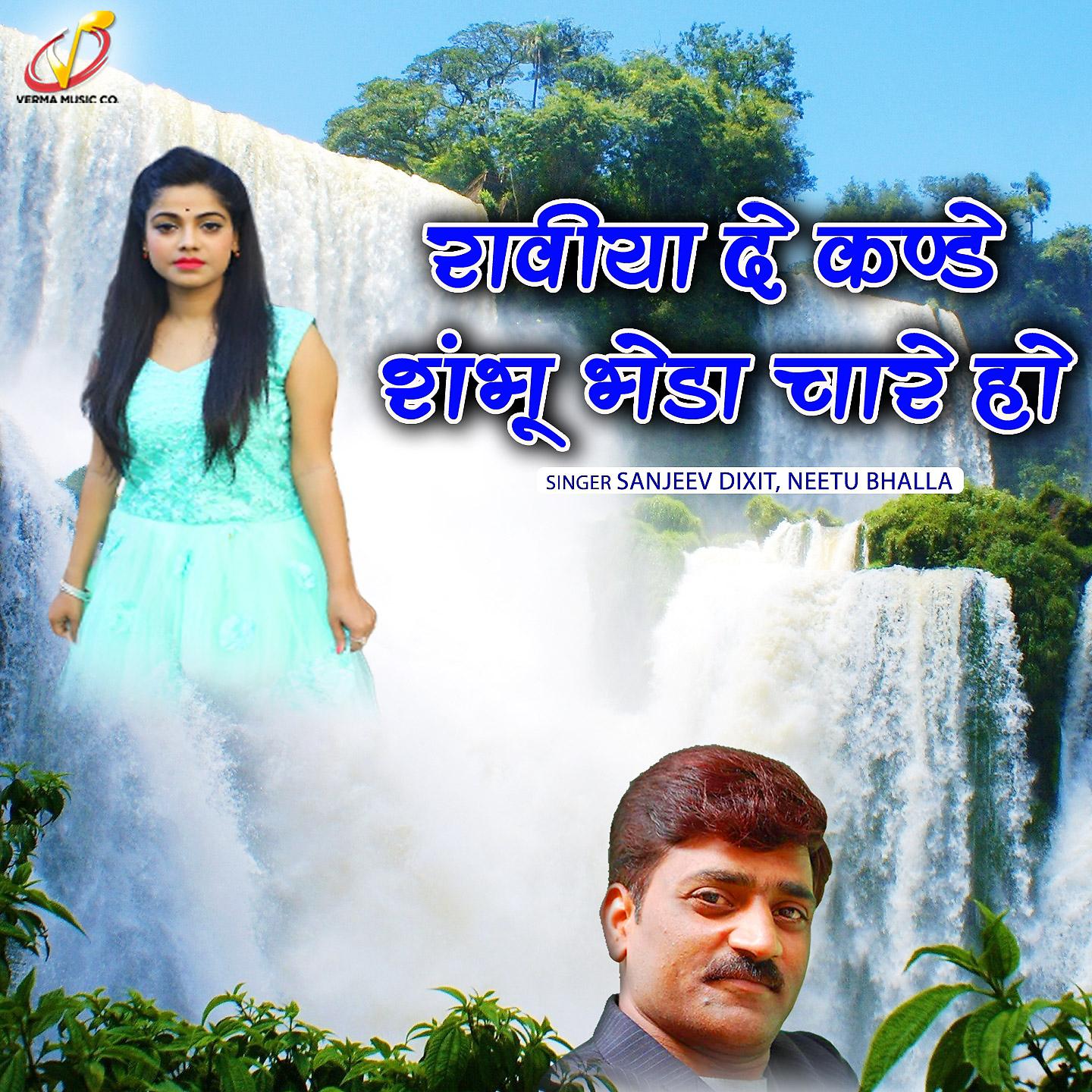 Постер альбома Raviya De Kande Shambhu Bheda Chare Ho