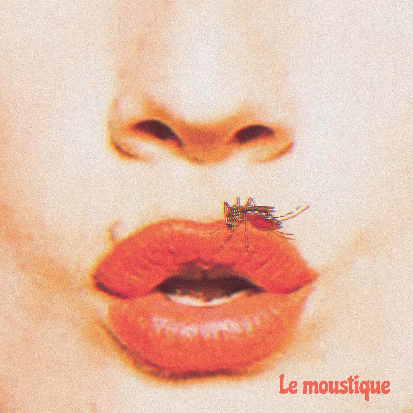Постер альбома Le moustique