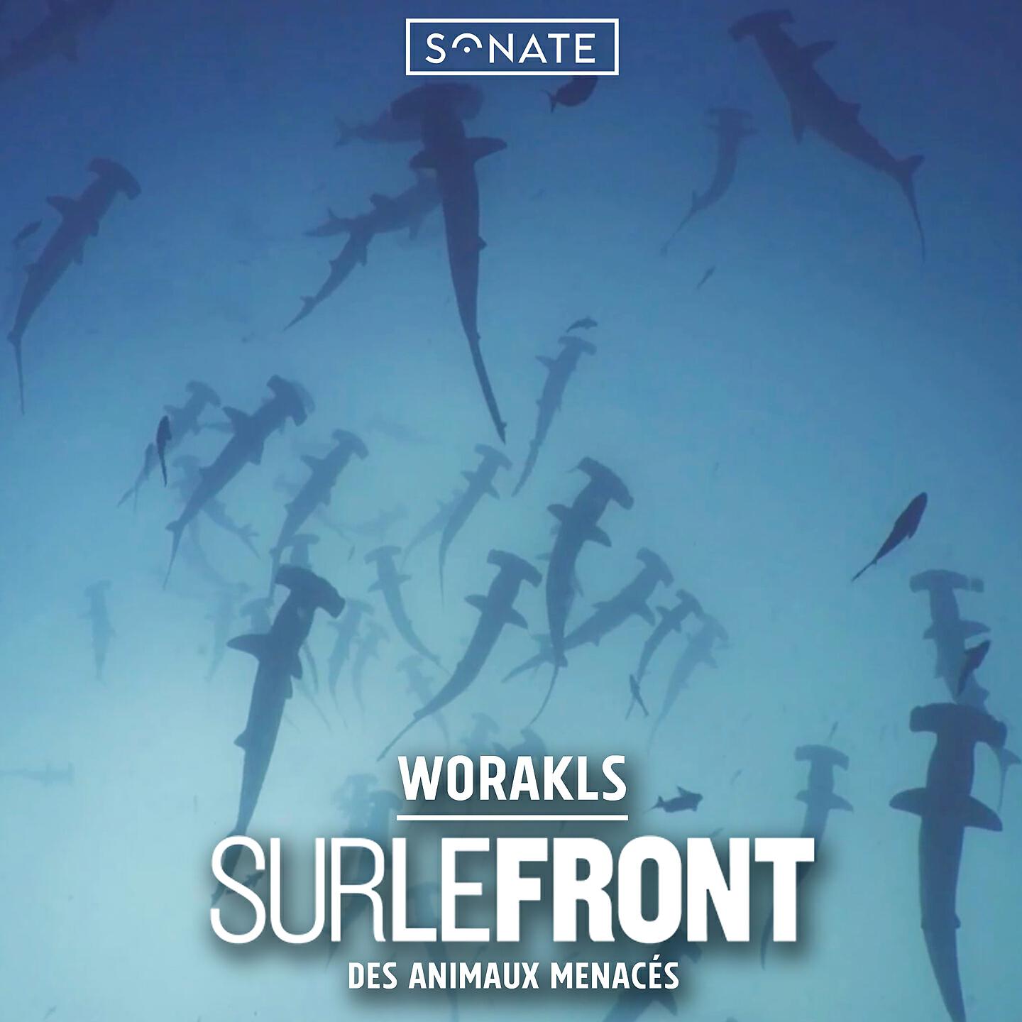Worakls - Macareux