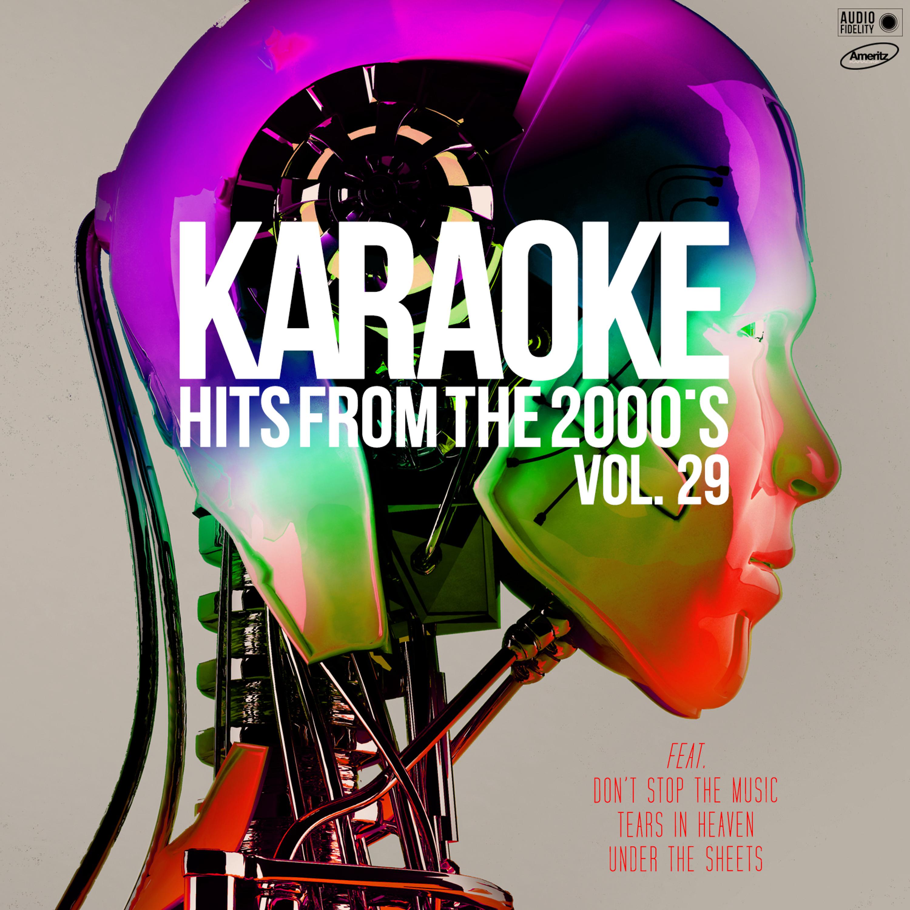 Постер альбома Karaoke Hits from the 2000's, Vol. 29