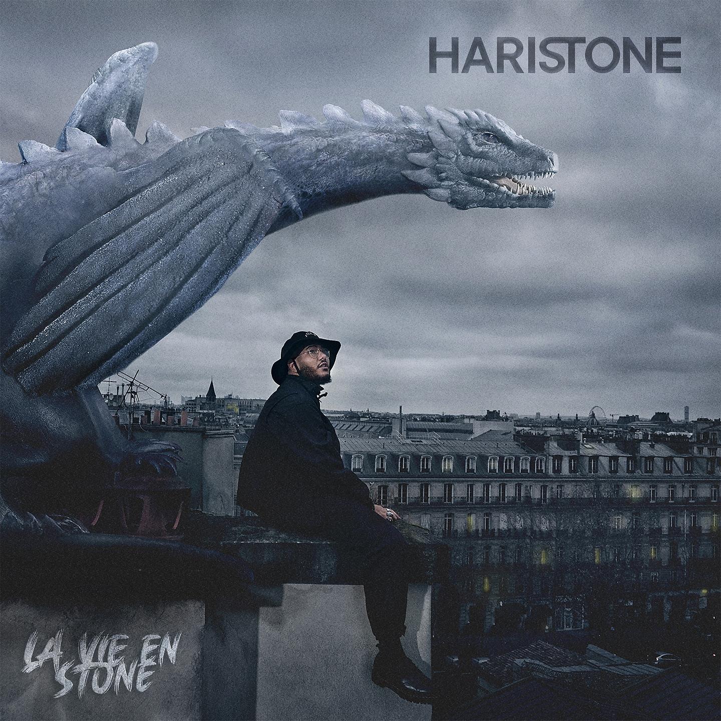Постер альбома La vie en stone