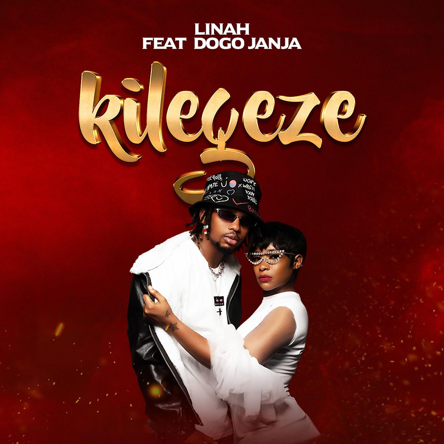 Постер альбома Kilegeze