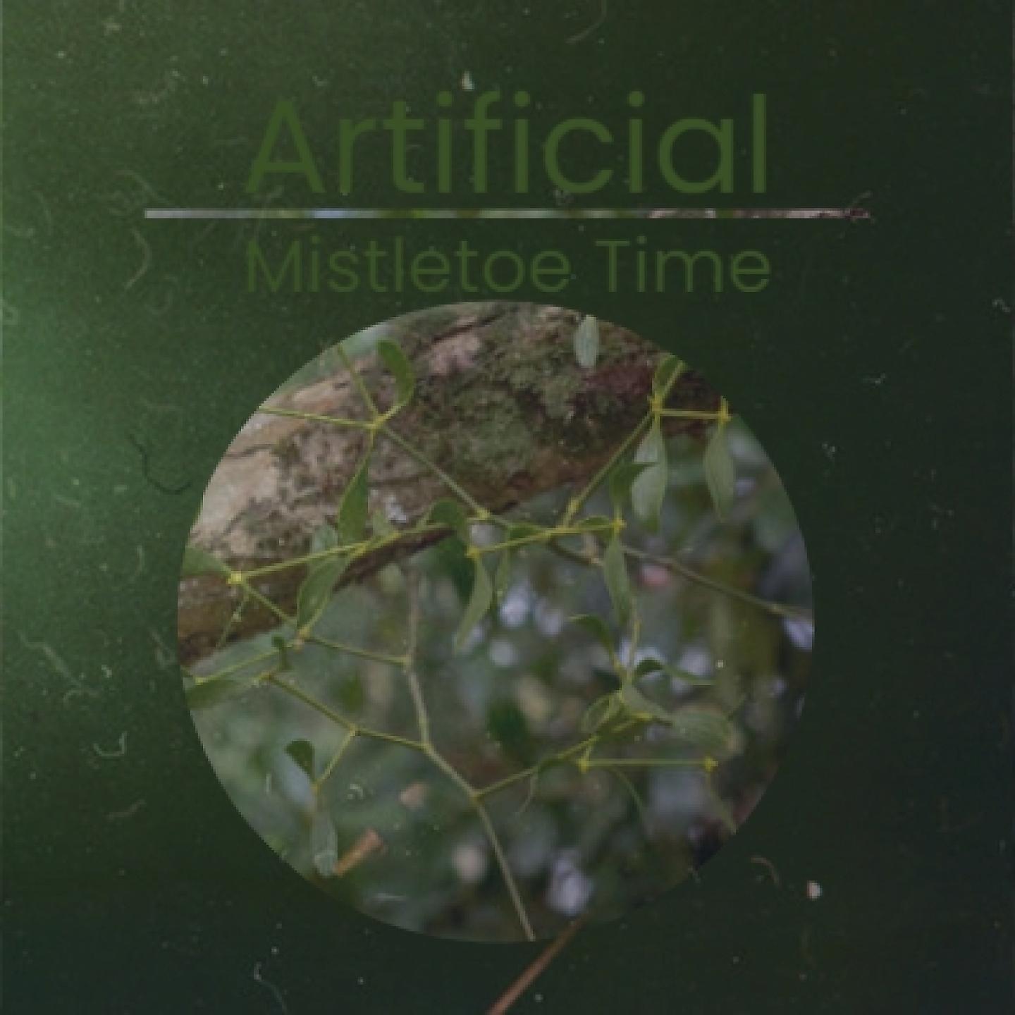 Постер альбома Artificial Mistletoe Time