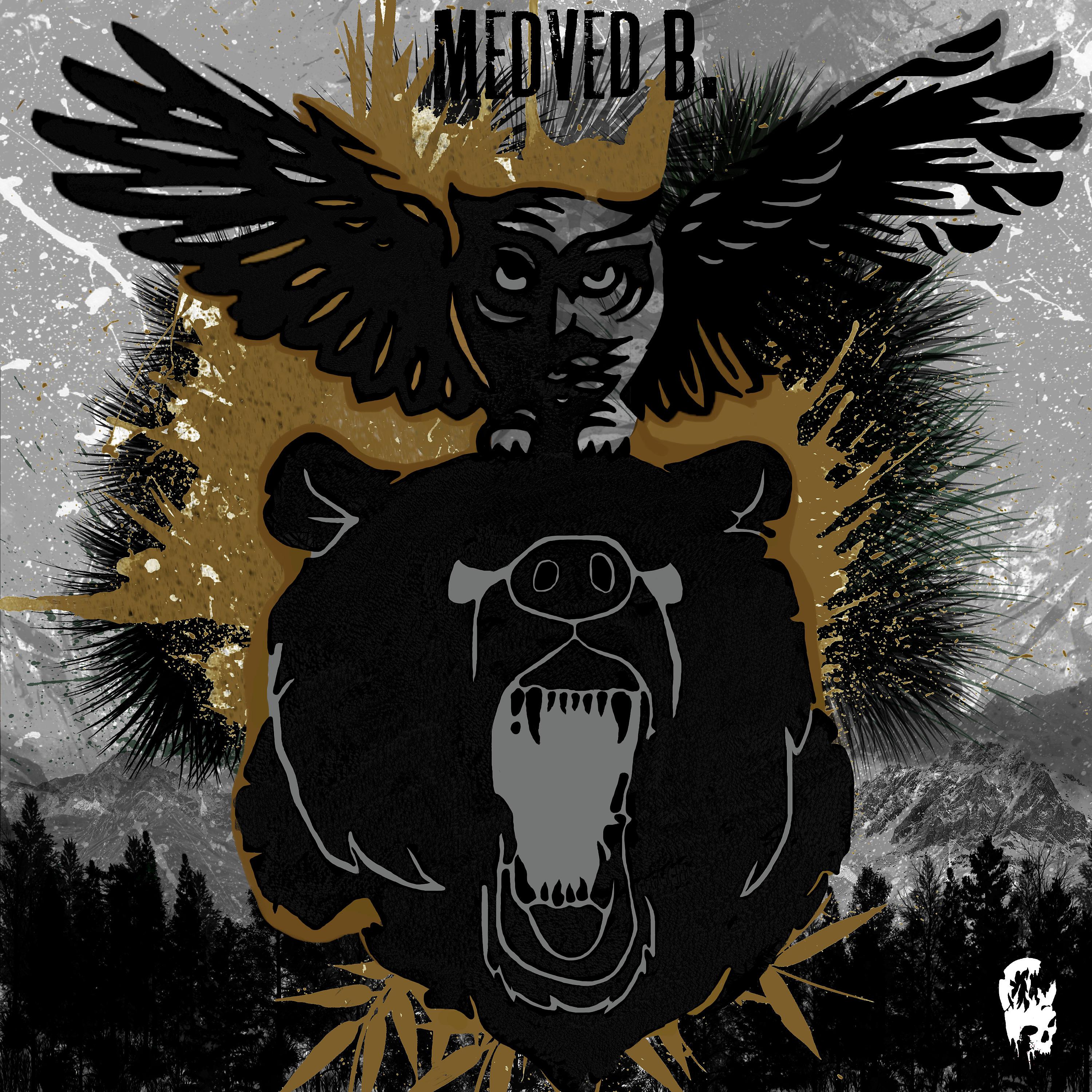 Постер альбома Medved B.