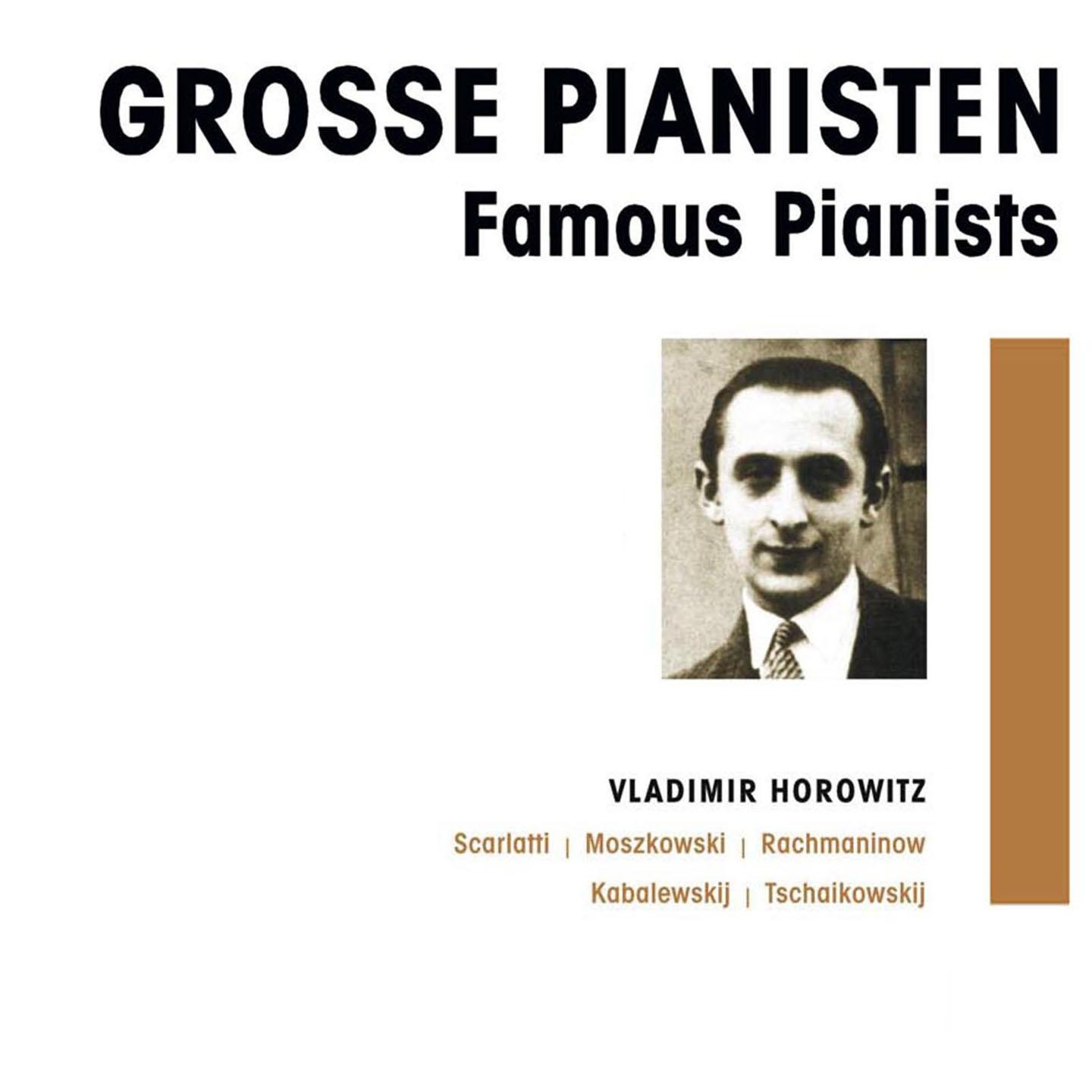 Постер альбома Grosse Pianisten - Vladimir Horowitz