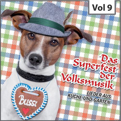 Постер альбома Das Superfest der Volksmusik, Vol. 9