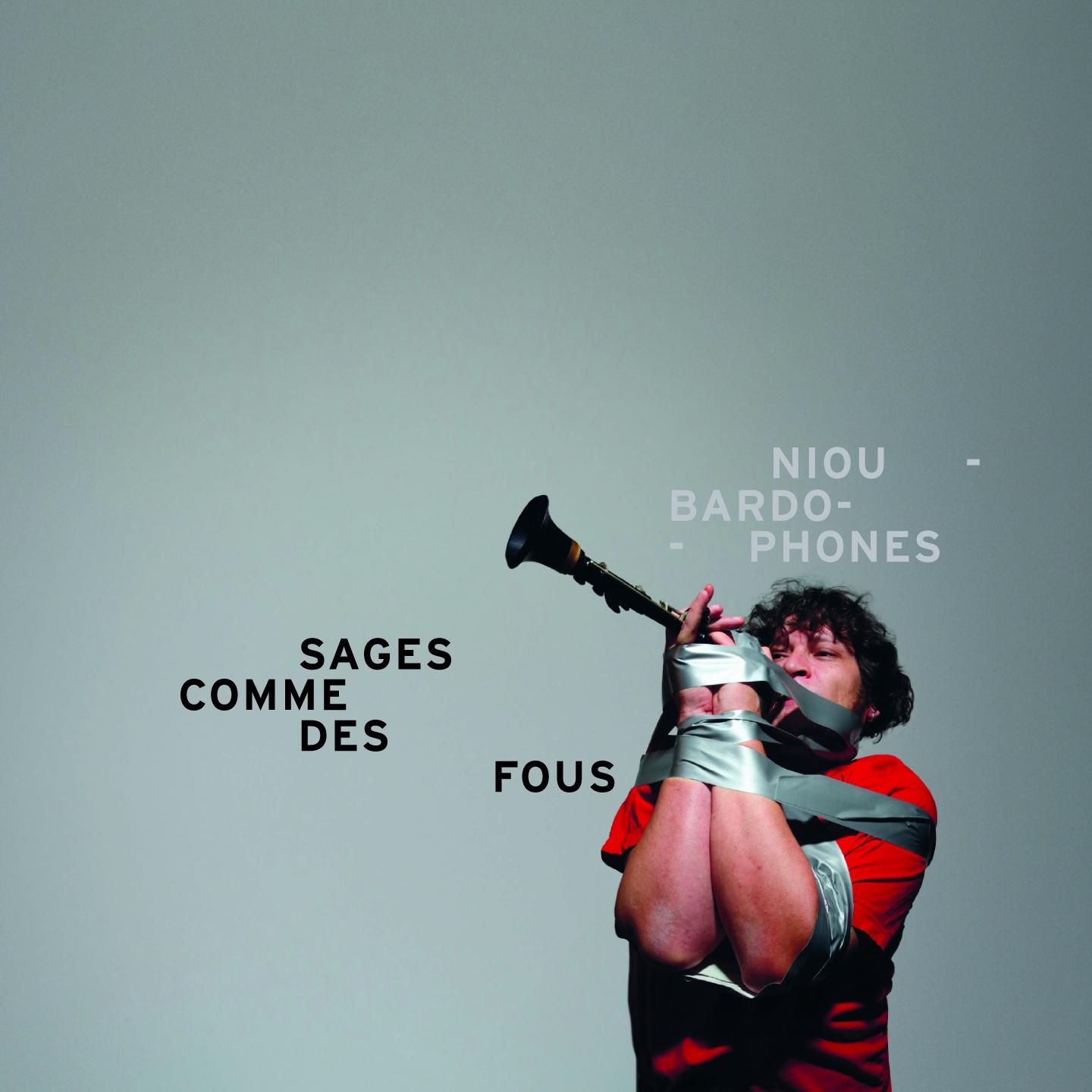 Постер альбома Sages comme des fous