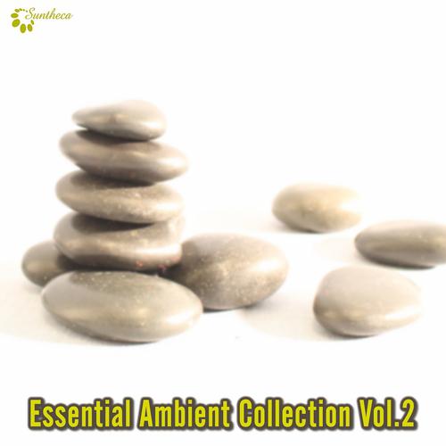 Постер альбома Essential Ambient Collection, Vol. 2