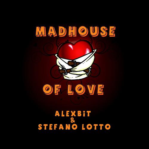 Постер альбома Mad House of Love