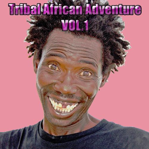 Постер альбома Tribal African Adventure, Vol.1