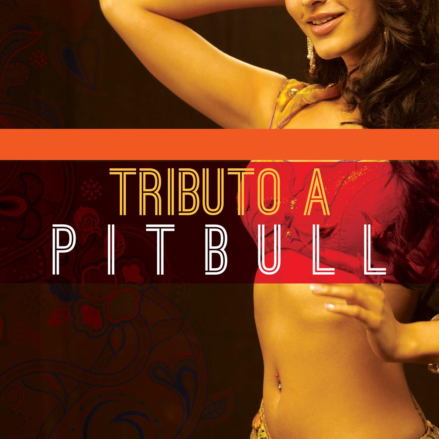 Постер альбома Tribute to Pitbull