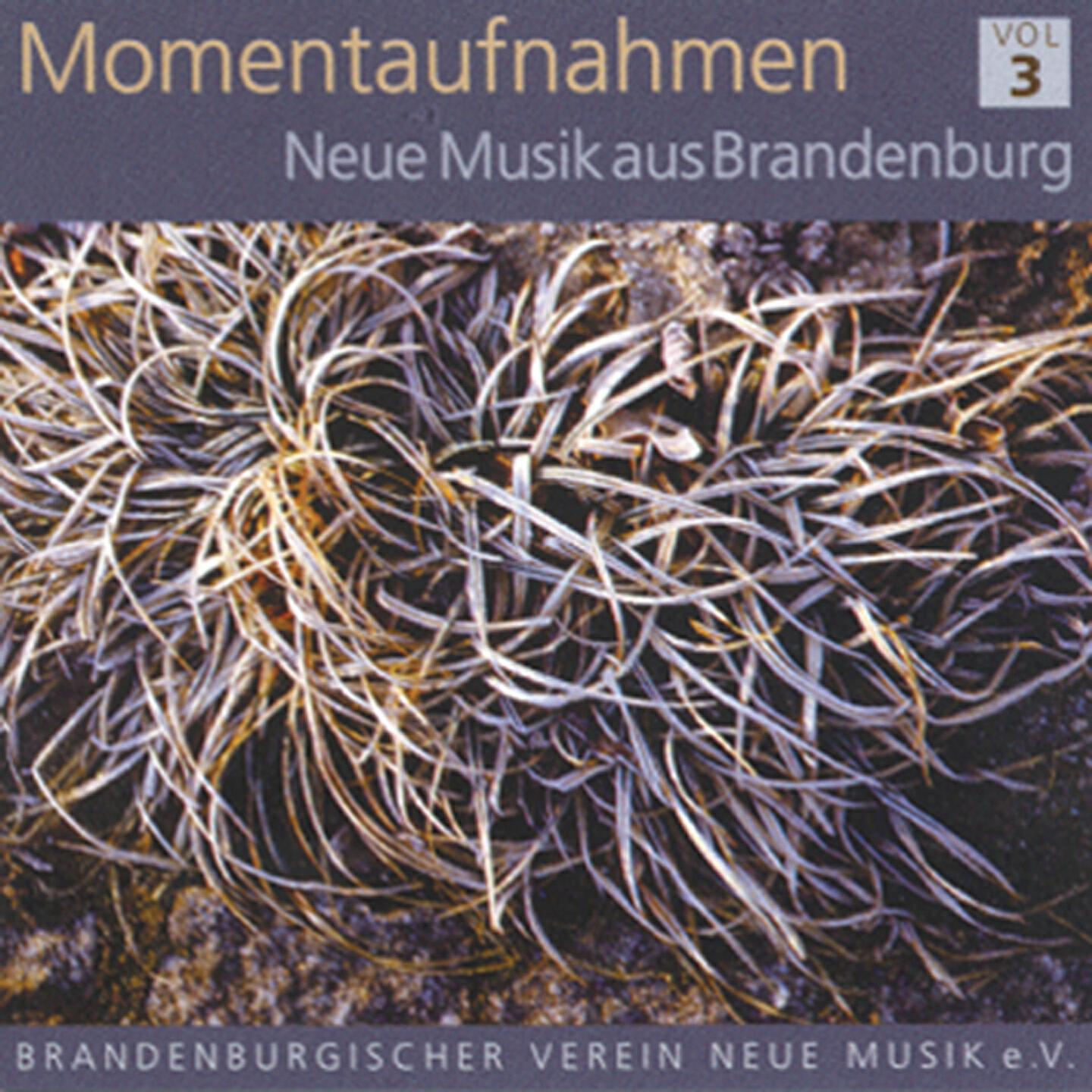 Björn Brünning - Märkische Skizzen: IV. Allegro vivace