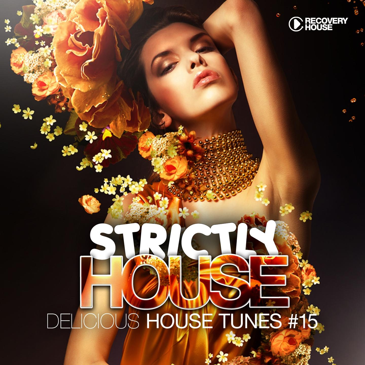 Постер альбома Strictly House - Delicious House Tunes Vol. 15