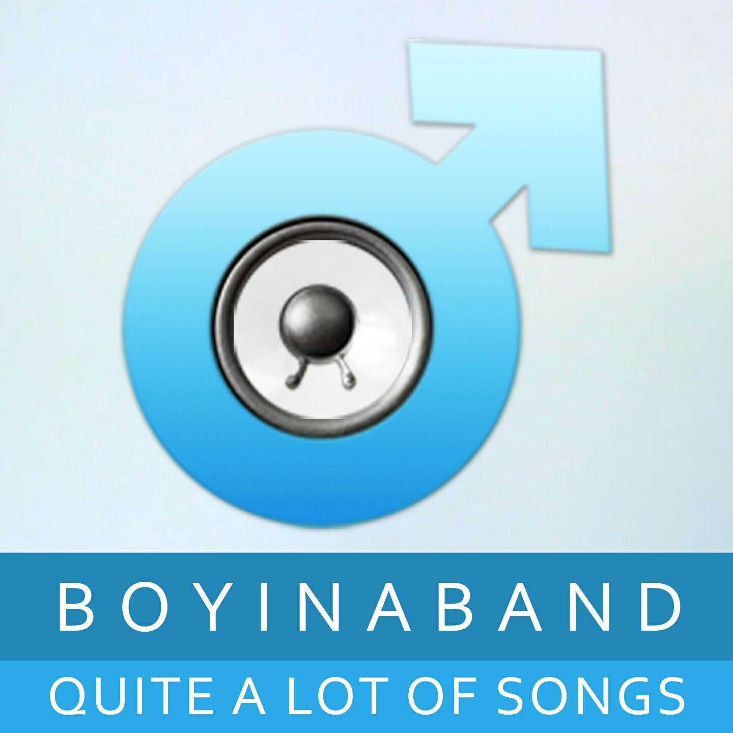 Boyinaband - Decipher Cipher (Acapella)
