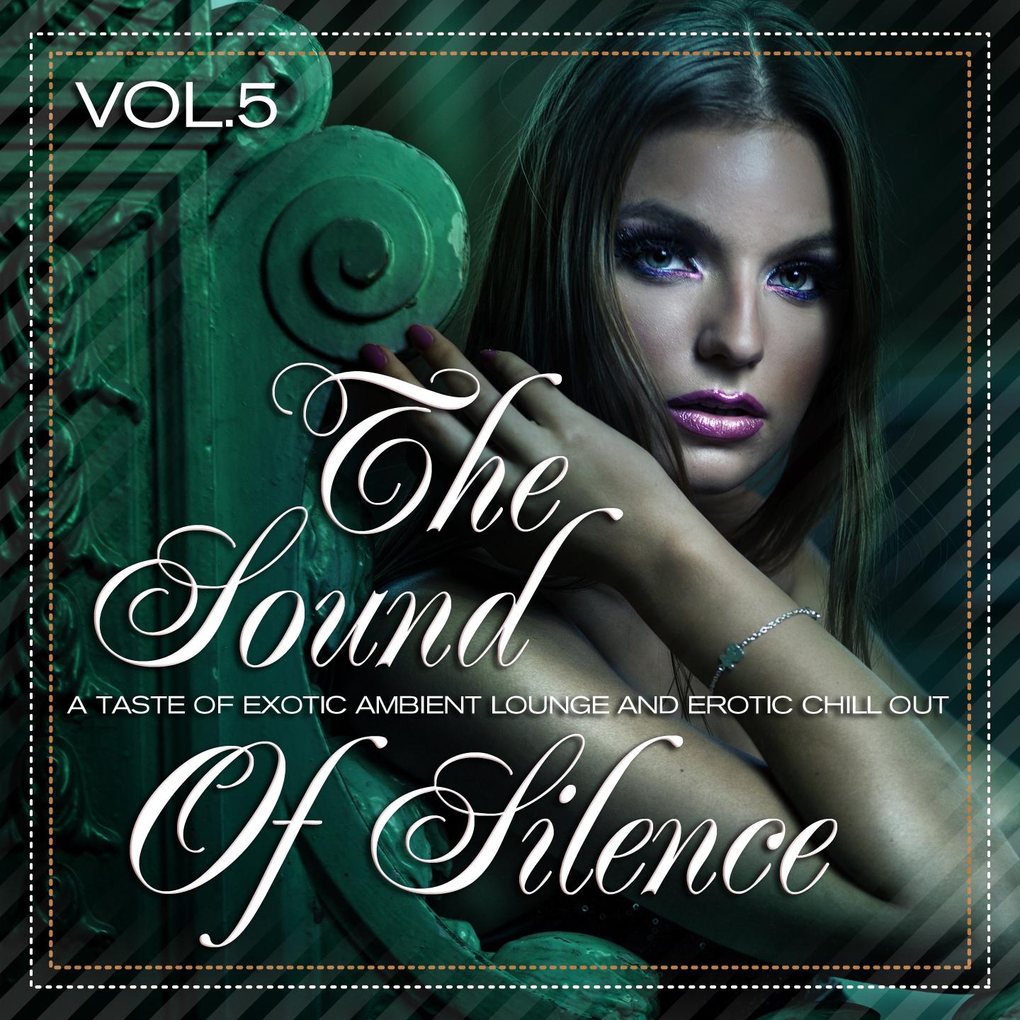 Постер альбома The Sound of Silence, Vol. 5