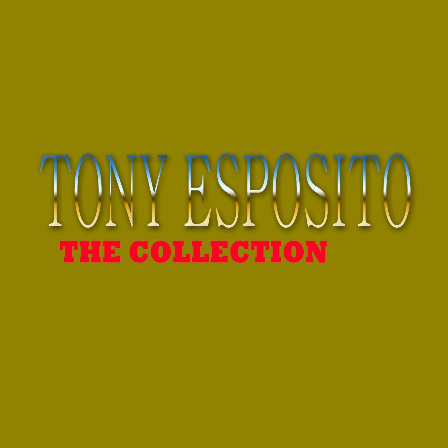 Постер альбома Tony Esposito: The Collection