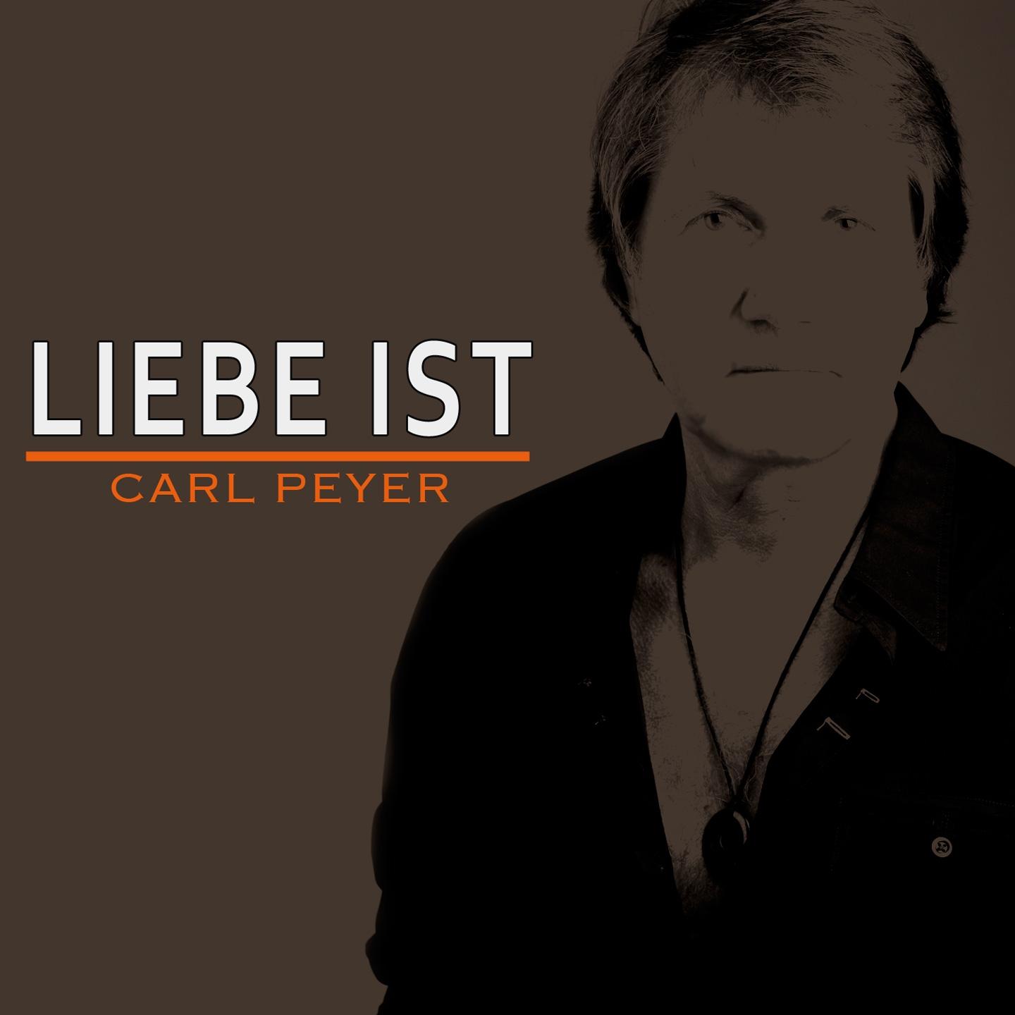 Постер альбома Liebe ist