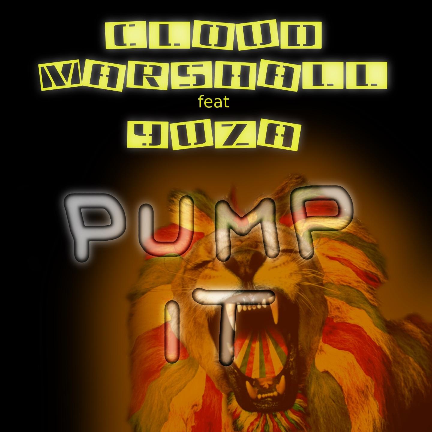 Постер альбома Pump It