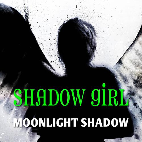 Постер альбома Moonlight Shadow