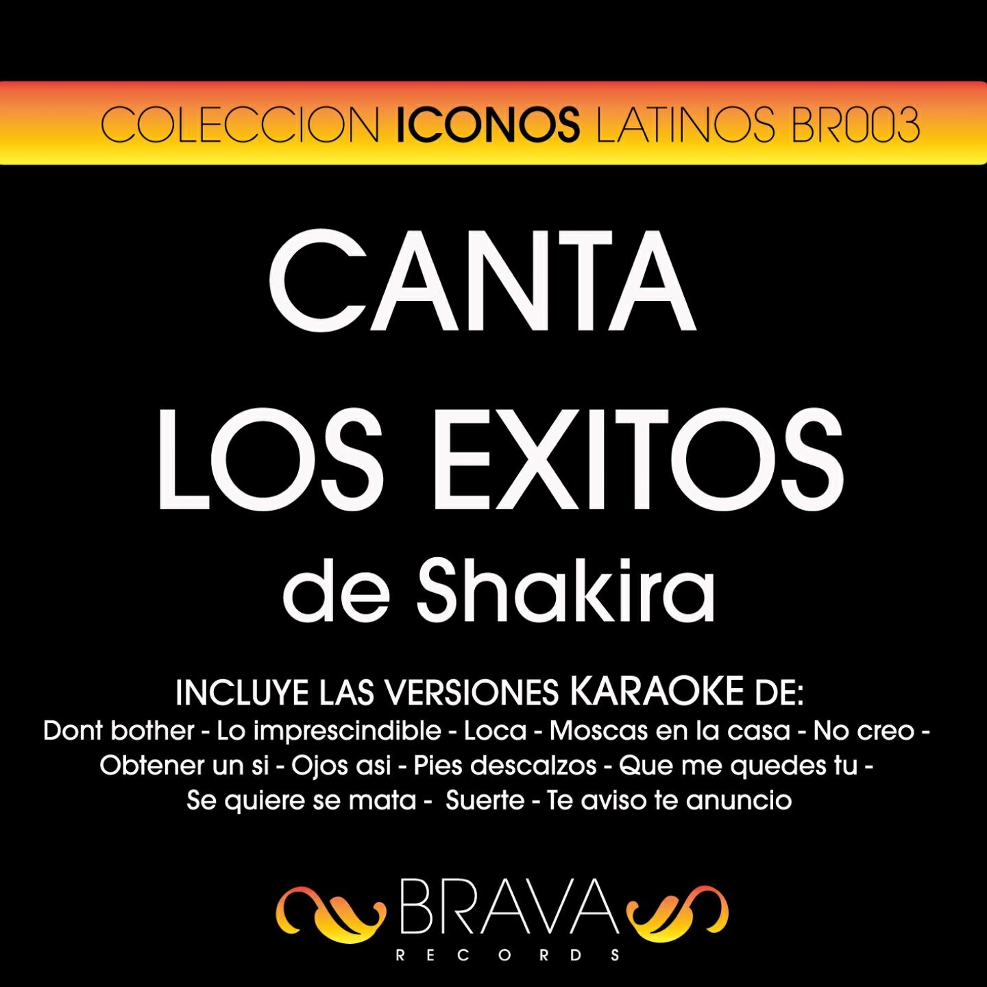 Brava HitMakers - Dont Bother (Karaoke Version) (Originally Performed By Shakira)