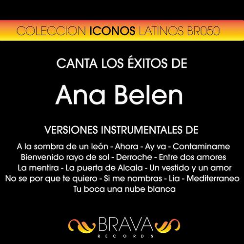 Постер альбома Canta los Exitos de Ana Belen
