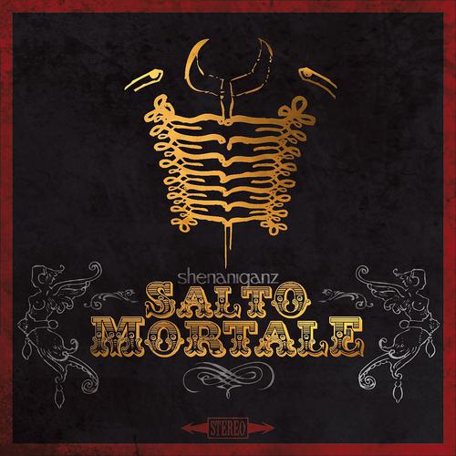 Постер альбома Salto Mortale