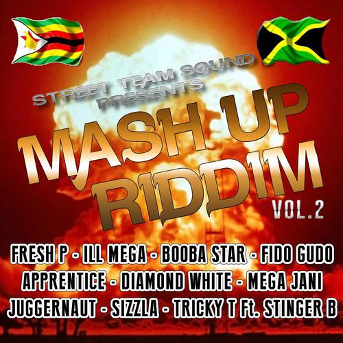 Постер альбома Mash Up Riddim, Vol. 2