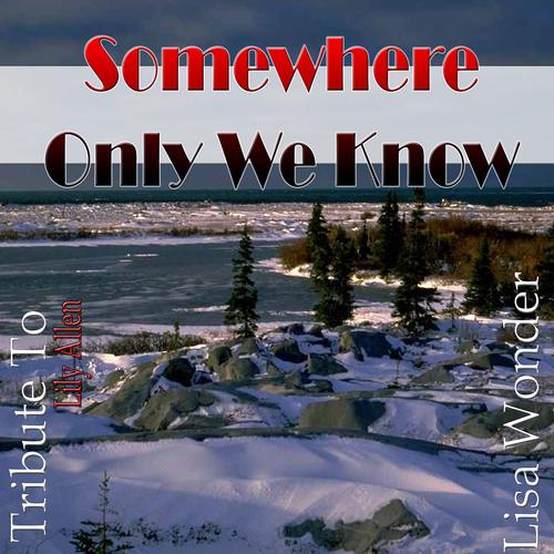 Постер альбома Somewhere Only We Know: Tribute to Lily Allen