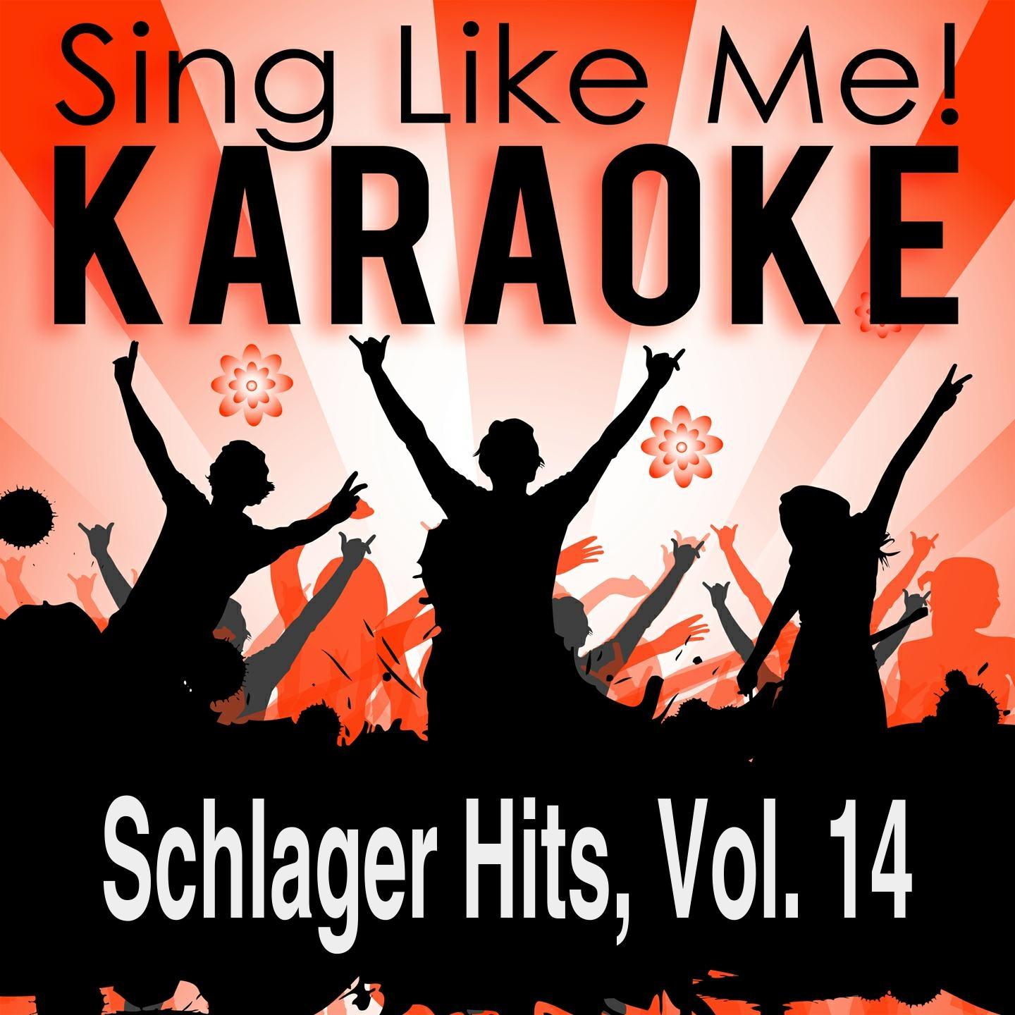 Постер альбома Schlager Hits, Vol. 14 (Karaoke Version)