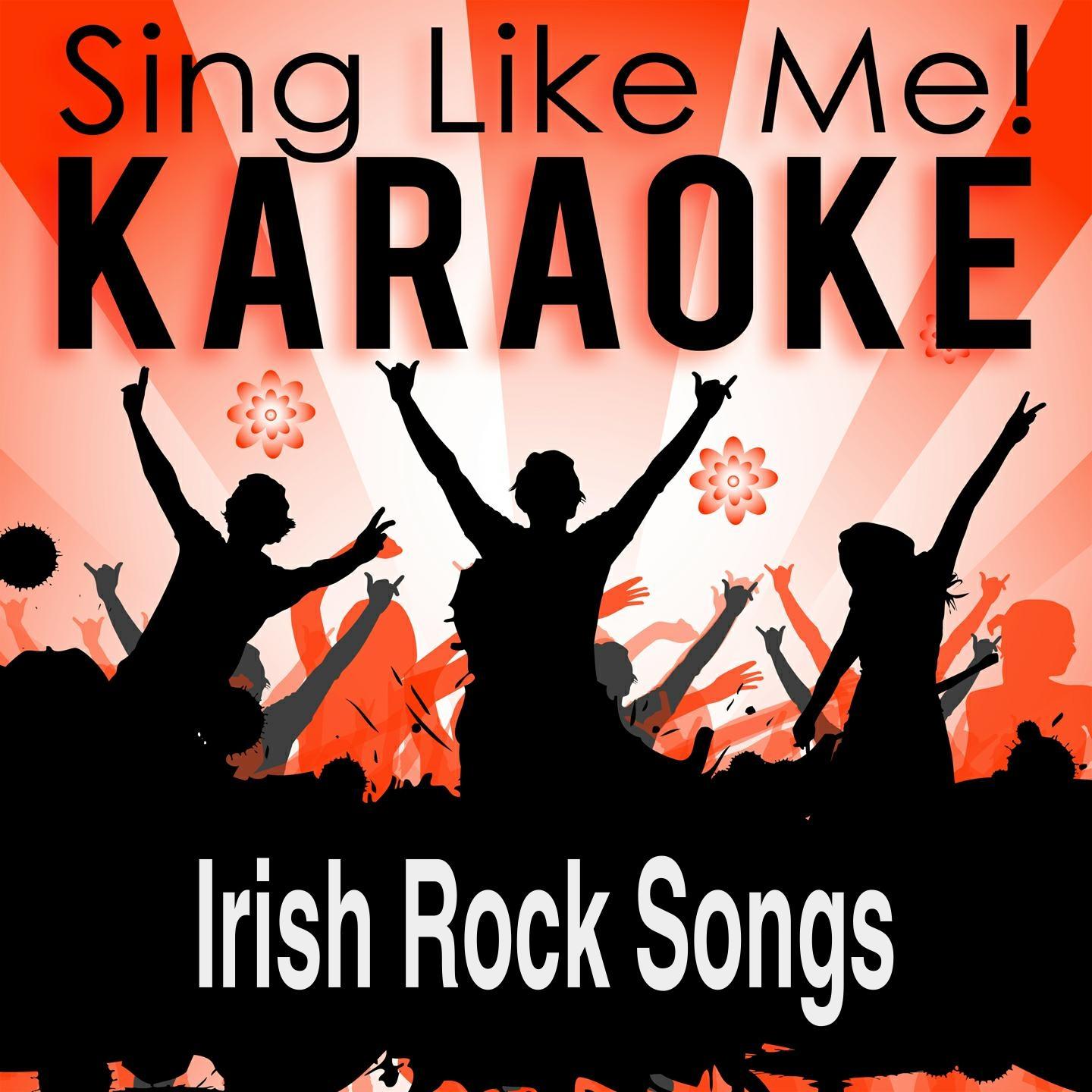 Постер альбома Irish Rock Songs (Karaoke Version)