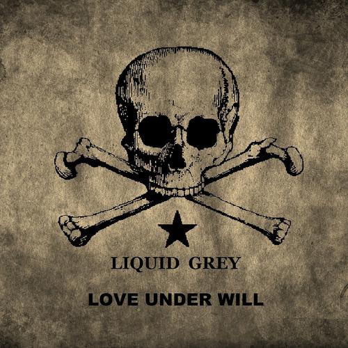 Постер альбома Love Under Will
