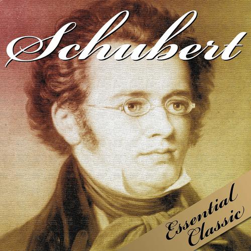 Постер альбома Schubert: Essential Classic