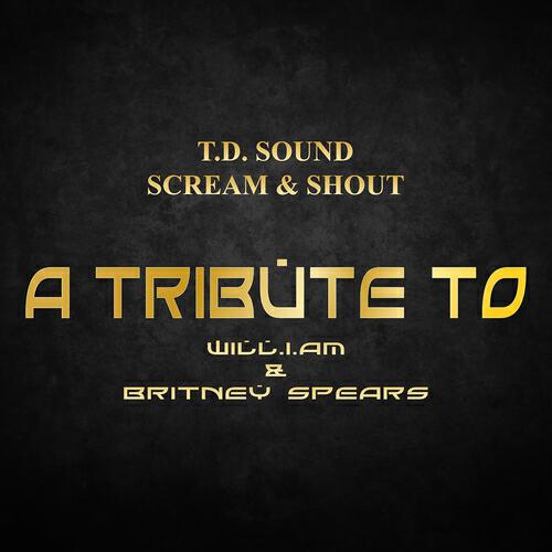 T.D. Sound - Scream & Shout (Tribute to Will.I.Am & Britney Spears)