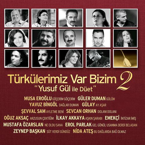 Постер альбома Türkülerimiz Var Bizim, Vol. 2