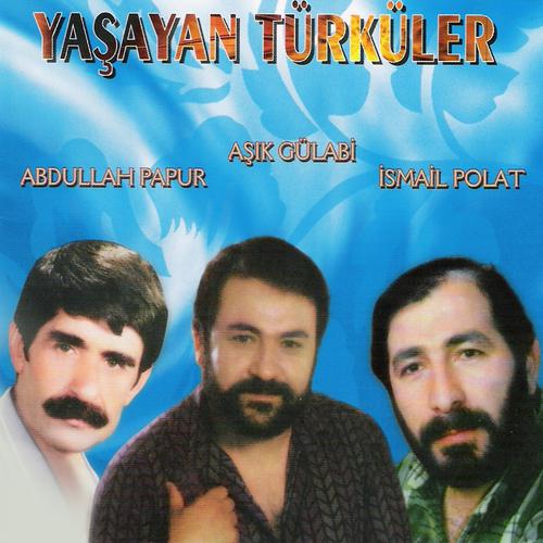 Abdullah Papur - Pir Sultanın Soyu Var Sivasta