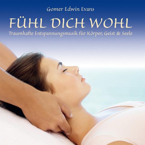 Постер альбома FÜHL DICH WOHL : Entspannungsmusik für die Seele