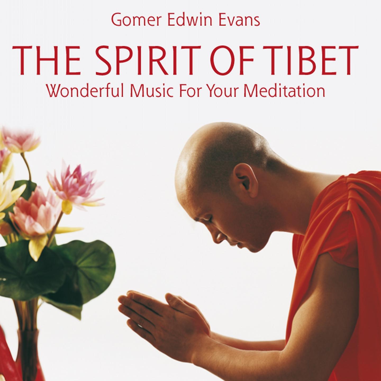 Постер альбома The Spirit Of Tibet : Music For Meditation