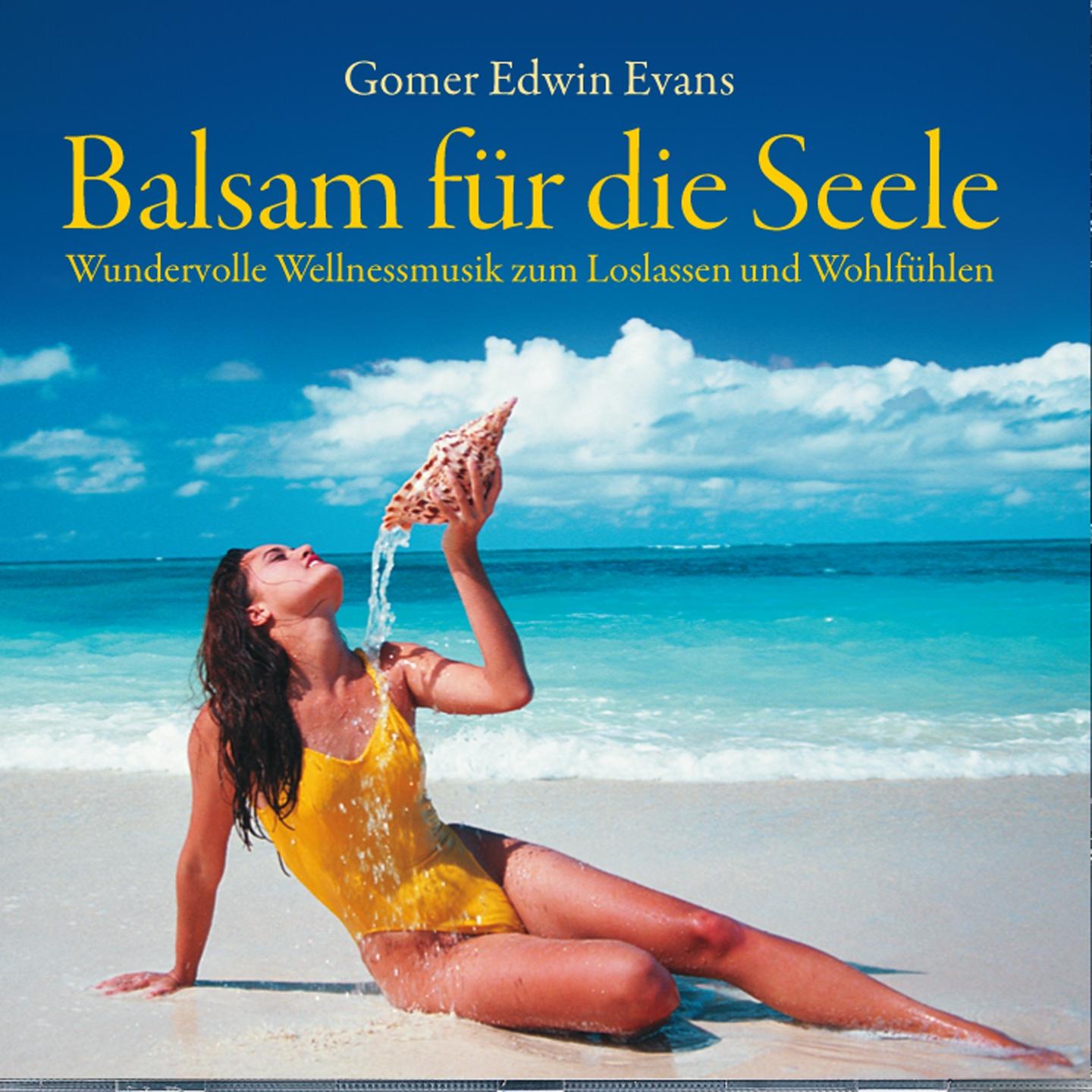 Постер альбома Balsam für die Seele : Wundervolle Entspannungsmusik