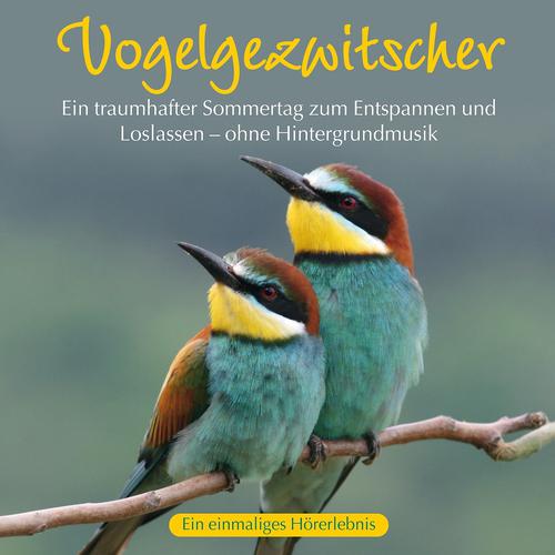 Постер альбома Vogelgezwitscher: Ein traumhafter Sommertag