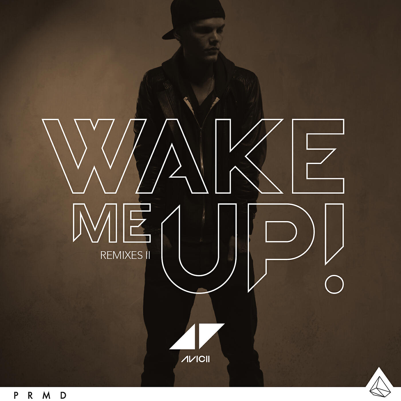 Avicii - Wake Me Up (PANG! Slowing Things Down Remix)