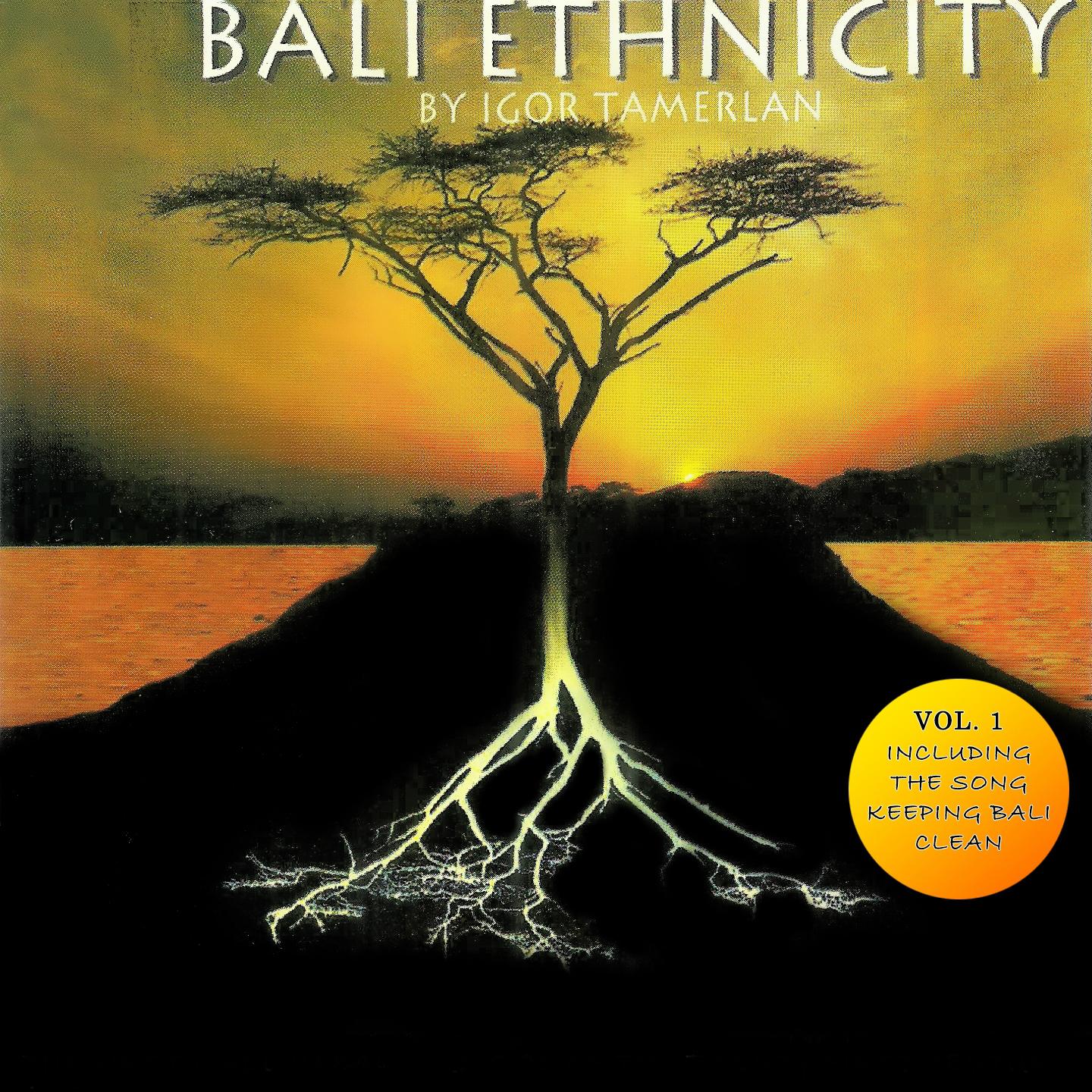 Постер альбома Bali Ethnicity, Vol. 1